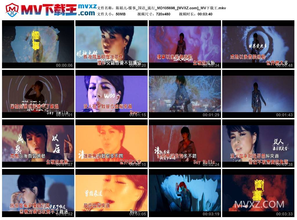 陈娟儿-懂事_国语_流行_MD105698